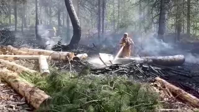 Son dakika haberi! Orman yangını kontrol altına alındı