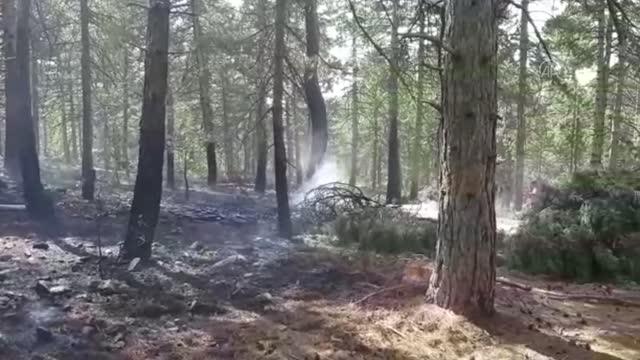 Son dakika haberi! Orman yangını kontrol altına alındı